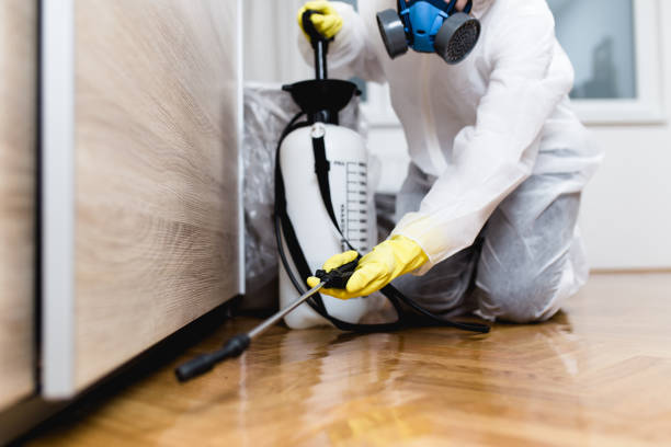 Reliable Baiting Hollow, NY Pest Control Solutions