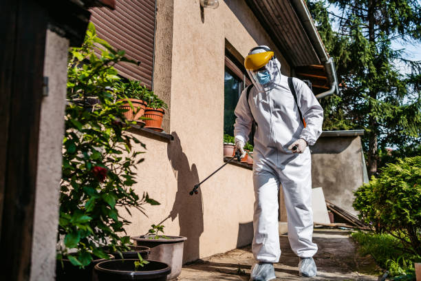 Best Pest Control for Homes  in Baiting Hollow, NY