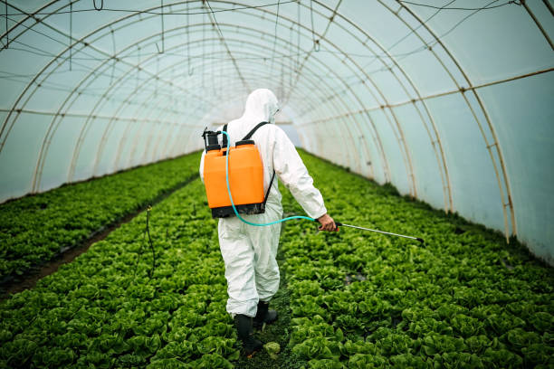 Best Best Pest Control Companies  in Baiting Hollow, NY