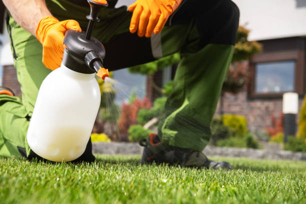Best Residential Pest Control  in Baiting Hollow, NY