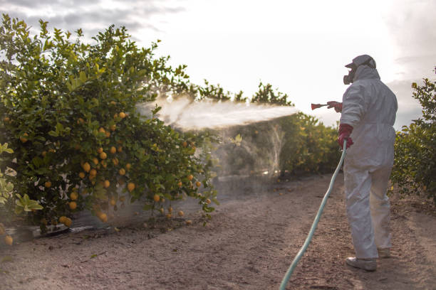 Best Pest Prevention Services  in Baiting Hollow, NY