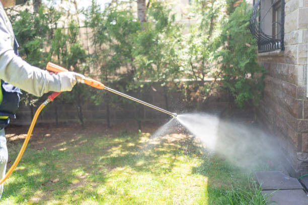 Best Flea Control Services  in Baiting Hollow, NY
