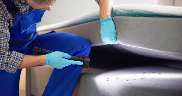 Best Flea Control Services  in Baiting Hollow, NY