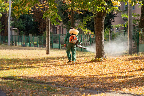 Reliable Baiting Hollow, NY Pest Control Solutions