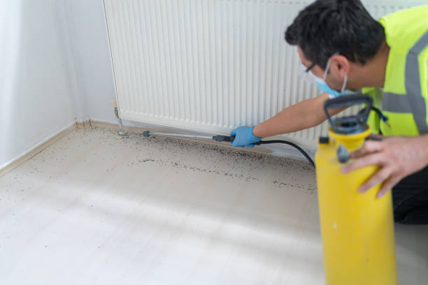 Best Commercial Pest Control Services  in Baiting Hollow, NY